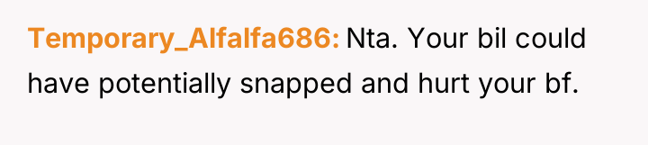 Temporary_Alfalfa686 Nta. Your bil could have potentially snapped and hurt...