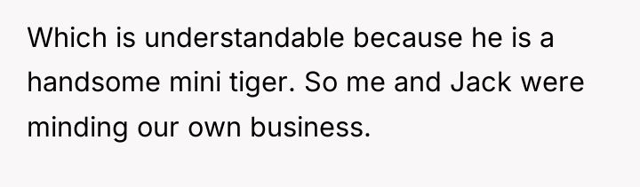 Which is understandable because he is a handsome mini tiger....