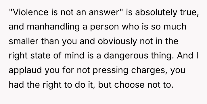 "Violence is not an answer" is absolutely true, and manhandling...