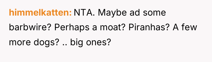 himmelkatten NTA. Maybe ad some barbwire? Perhaps a moat? Piranhas?...