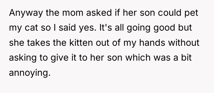 Anyway the mom asked if her son could pet my...