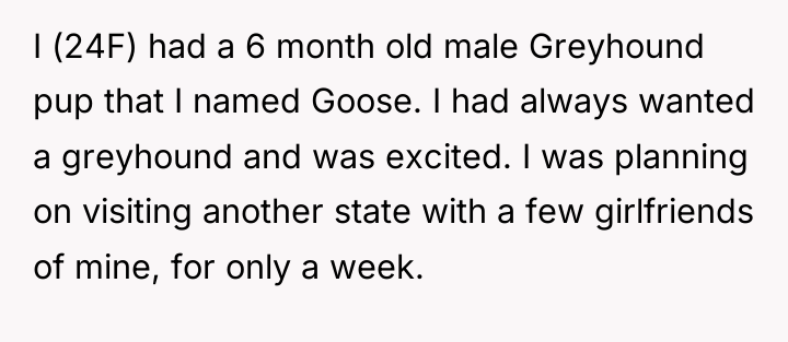 I (24F) had a 6 month old male Greyhound pup...