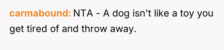 carmabound NTA - A dog isn't like a toy you...