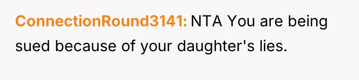 ConnectionRound3141 NTA You are being sued because of your daughter's...