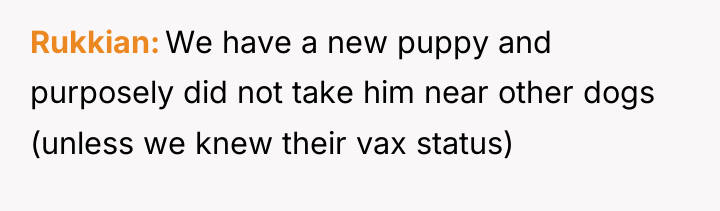 Rukkian We have a new puppy and purposely did not...