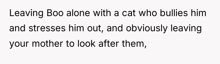 Leaving Boo alone with a cat who bullies him and...