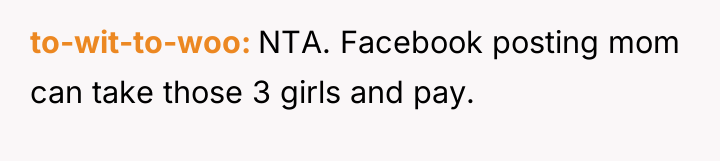 to-wit-to-woo NTA. Facebook posting mom can take those 3 girls...