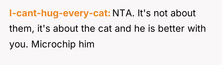 I-cant-hug-every-cat NTA. It's not about them, it's about the cat...
