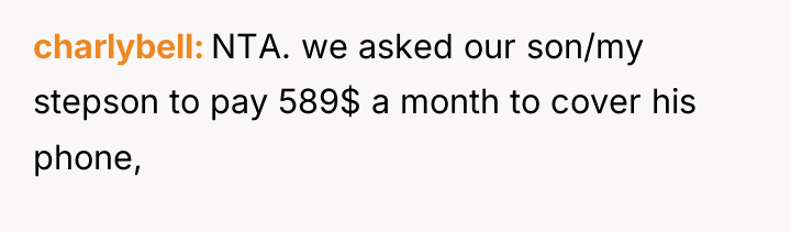 charlybell NTA. we asked our son/my stepson to pay 589$...