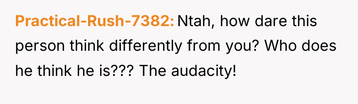 Practical-Rush-7382 Ntah, how dare this person think differently from you?...