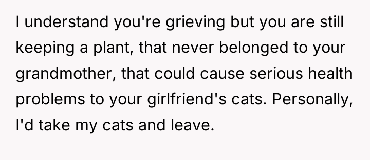 I understand you're grieving but you are still keeping a...