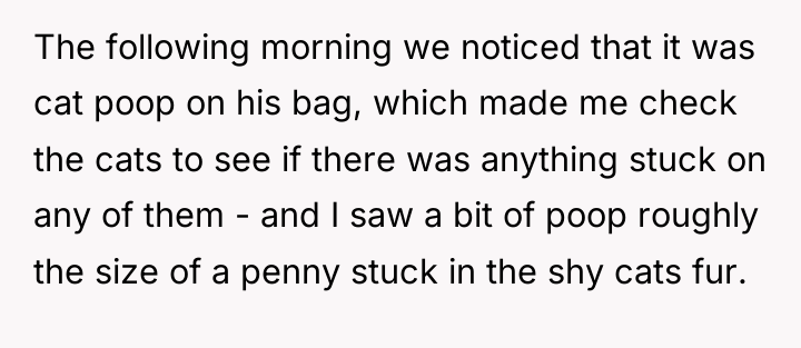 The following morning we noticed that it was cat poop...
