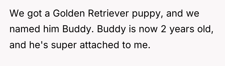 We got a Golden Retriever puppy, and we named him...
