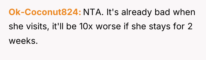 Ok-Coconut824 NTA. It's already bad when she visits, it'll be...