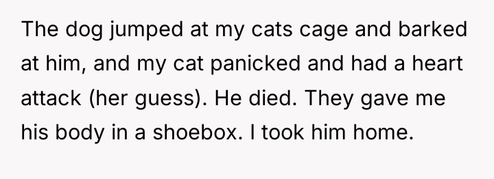 The dog jumped at my cats cage and barked at...