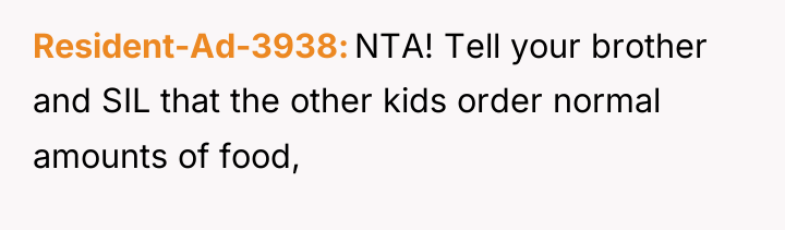 Resident-Ad-3938 NTA! Tell your brother and SIL that the other...