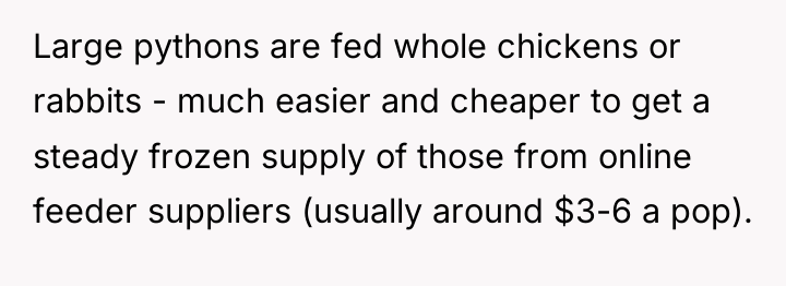 Large pythons are fed whole chickens or rabbits - much...