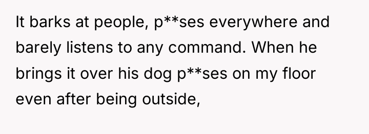 It barks at people, p**ses everywhere and barely listens to...
