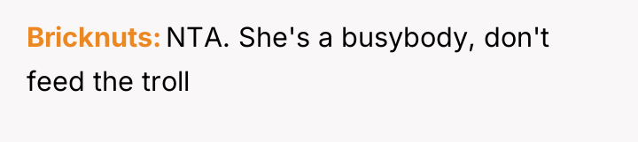 Bricknuts NTA. She's a busybody, don't feed the troll