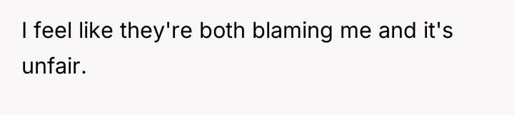 I feel like they're both blaming me and it's unfair.