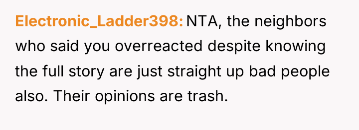 Electronic_Ladder398 NTA, the neighbors who said you overreacted despite knowing...