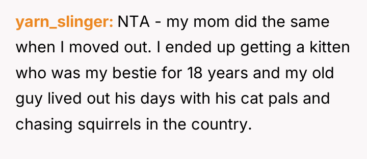 yarn_slinger NTA - my mom did the same when I...