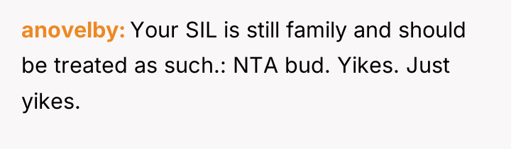 anovelby Your SIL is still family and should be treated...
