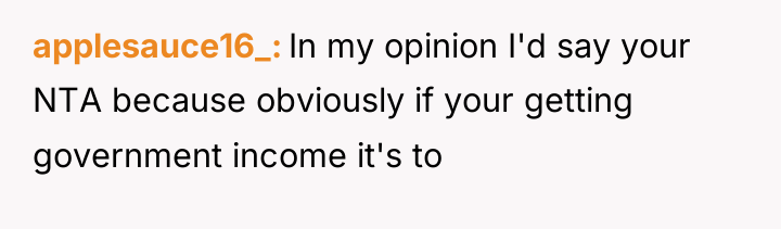 applesauce16_ In my opinion I'd say your NTA because obviously...