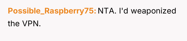 Possible_Raspberry75 NTA. I'd weaponized the VPN.