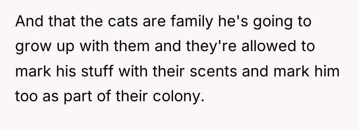 And that the cats are family he's going to grow...