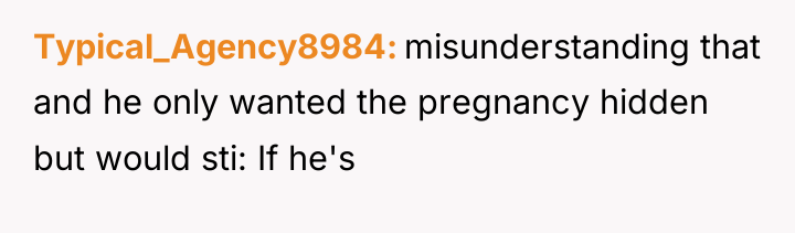 Typical_Agency8984 misunderstanding that and he only wanted the pregnancy hidden...
