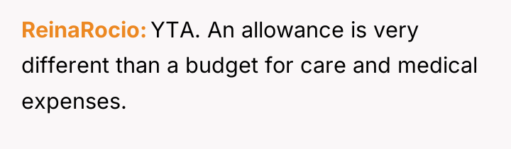 ReinaRocio YTA. An allowance is very different than a budget...