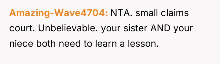 Amazing-Wave4704 NTA. small claims court. Unbelievable. your sister AND your...