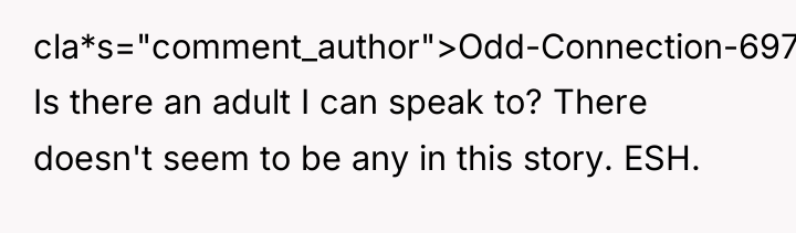 cla*s="comment_author">Odd-Connection-697: Is there an adult I can speak to? There...