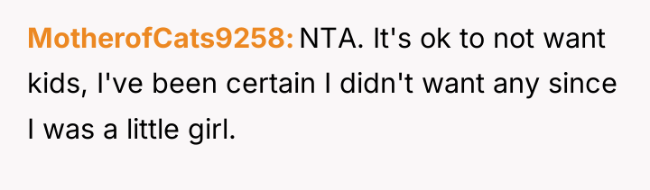 MotherofCats9258 NTA. It's ok to not want kids, I've been...