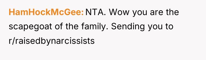 HamHockMcGee NTA. Wow you are the scapegoat of the family....