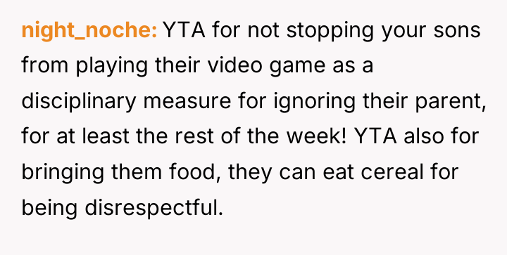 night_noche YTA for not stopping your sons from playing their...