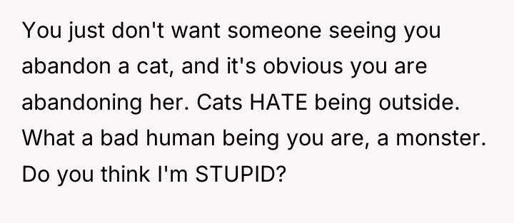 You just don't want someone seeing you abandon a cat,...