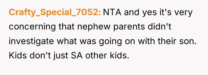 Crafty_Special_7052 NTA and yes it's very concerning that nephew parents...