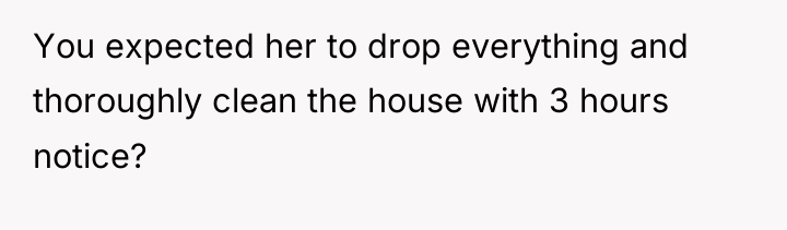 You expected her to drop everything and thoroughly clean the...