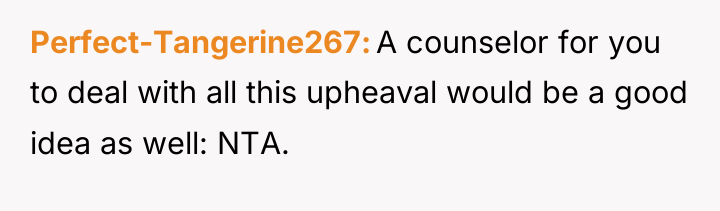 Perfect-Tangerine267 A counselor for you to deal with all this...