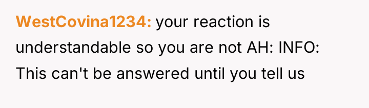 WestCovina1234 your reaction is understandable so you are not AH:...