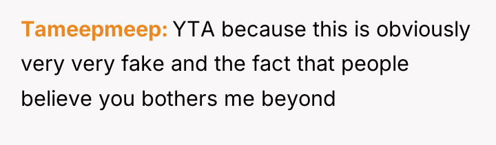 Tameepmeep YTA because this is obviously very very fake and...