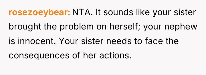 rosezoeybear NTA. It sounds like your sister brought the problem...