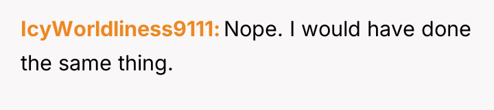 IcyWorldliness9111 Nope. I would have done the same thing.