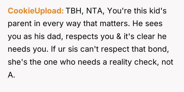 CookieUpload TBH, NTA, You're this kid's parent in every way...