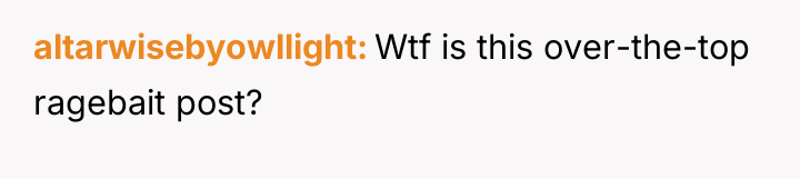 altarwisebyowllight Wtf is this over-the-top ragebait post?