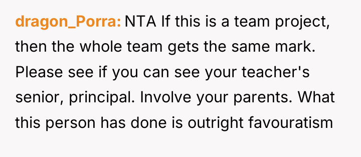 dragon_Porra NTA If this is a team project, then the...