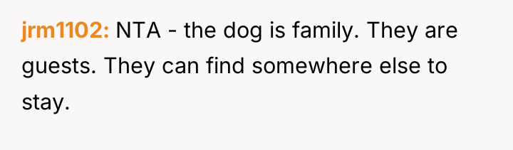 jrm1102 NTA - the dog is family. They are guests....