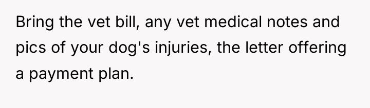 Bring the vet bill, any vet medical notes and pics...